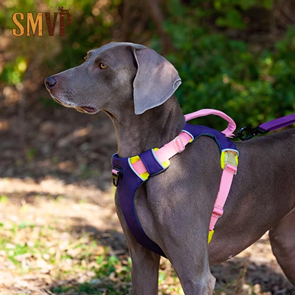 Trend Contrasting Color Pet Chest Strap Night Reflective and Explosion Proof Traction Products for Large Medium and Small Dogs
Trend Contrasting Color Pet Chest Strap Night Reflective and Explosion Proof Traction Products for Large Medium and Small Dogs