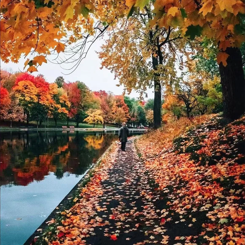 AWX Customized Product Special Shooting Link
AWX Customized Product Special Shooting Link