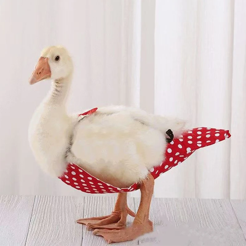 2025 NEW Kodak Duck Diaper Bellyband Adjustable Bird Flight Clothes Pooper Diapers Flight Suits Vests Pet Supplies
2025 NEW Kodak Duck Diaper Bellyband Adjustable Bird Flight Clothes Pooper Diapers Flight Suits Vests Pet Supplies