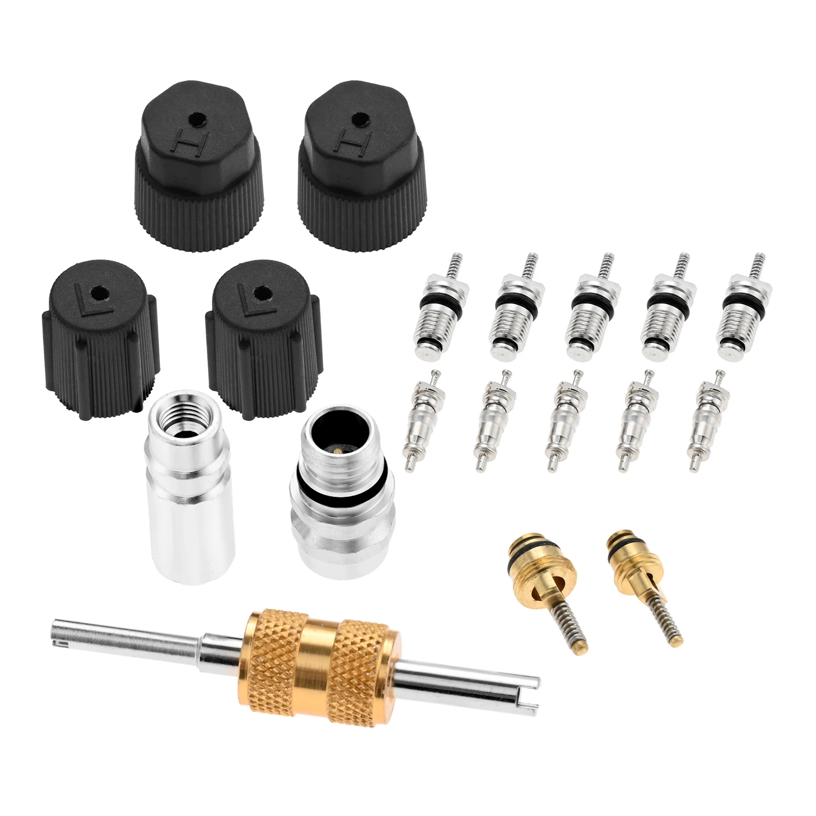 Cap & Valve Seal Kits Air Conditioning Valve Core Set AC Service Valve with Removal Tool R12 to R134a Conversion Kit
Cap & Valve Seal Kits Air Conditioning Valve Core Set AC Service Valve with Removal Tool R12 to R134a Conversion Kit