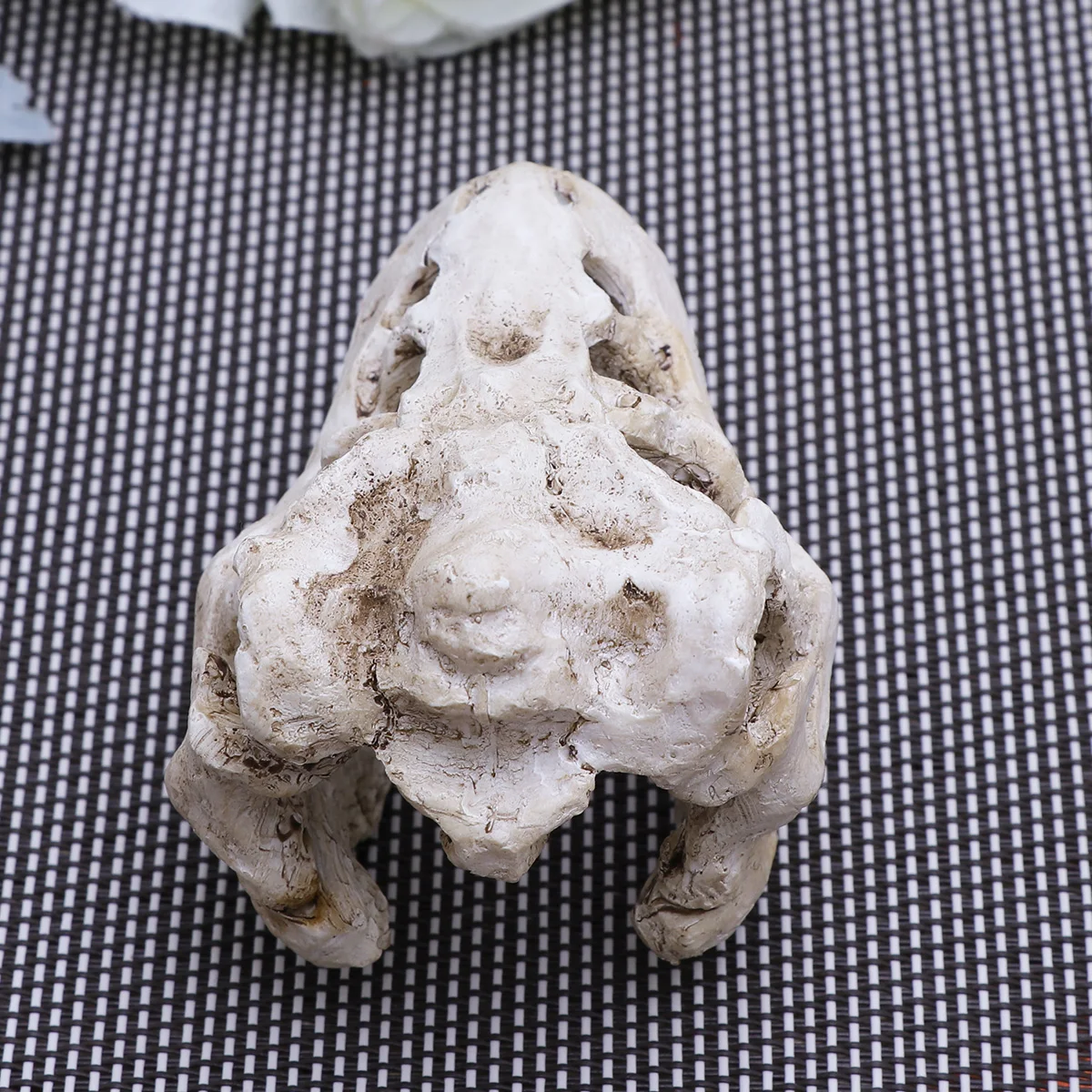 2Pcs Resin Reptile Hide Cave Head Ornament for Aquarium Terrarium Decor Fish Tank Accessories Smooth Safe Design No
2Pcs Resin Reptile Hide Cave Head Ornament for Aquarium Terrarium Decor Fish Tank Accessories Smooth Safe Design No