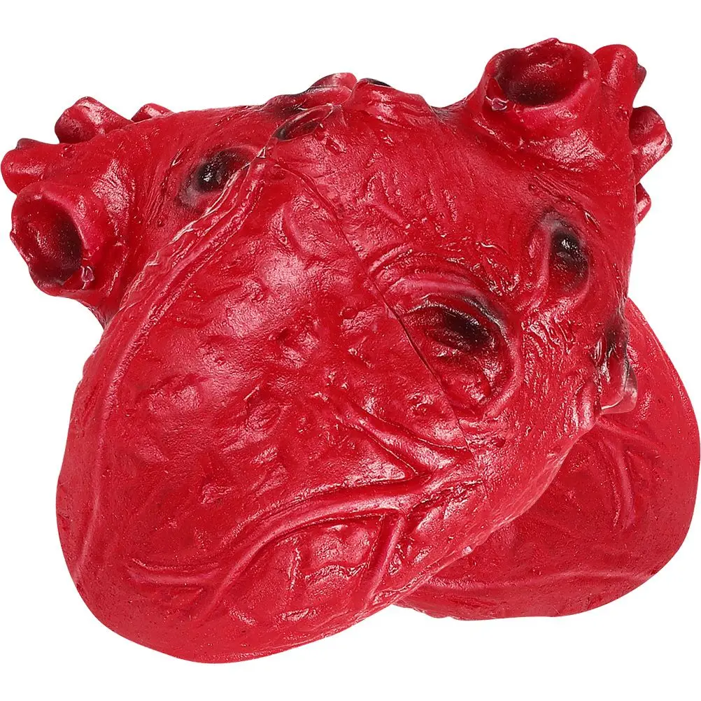 2pcs Heart Props Realistic Vinyl Halloween Decoration for Party Stage Performance Lightweight Compact Storage
2pcs Heart Props Realistic Vinyl Halloween Decoration for Party Stage Performance Lightweight Compact Storage