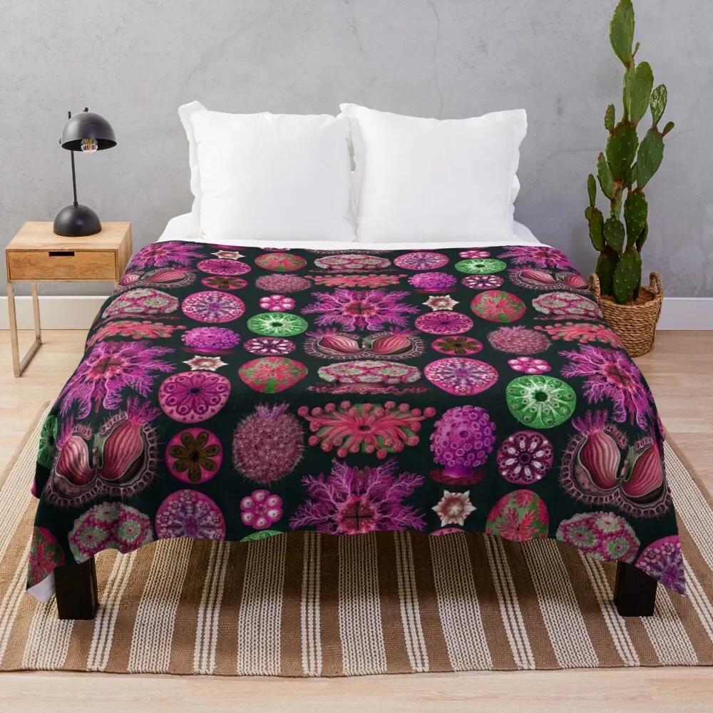 Ernst Haeckel Ascidiae Sea Squirts Magenta Throw Blanket Soft Plush Plaid Beautifuls Extra Large Throw Blankets
Ernst Haeckel Ascidiae Sea Squirts Magenta Throw Blanket Soft Plush Plaid Beautifuls Extra Large Throw Blankets