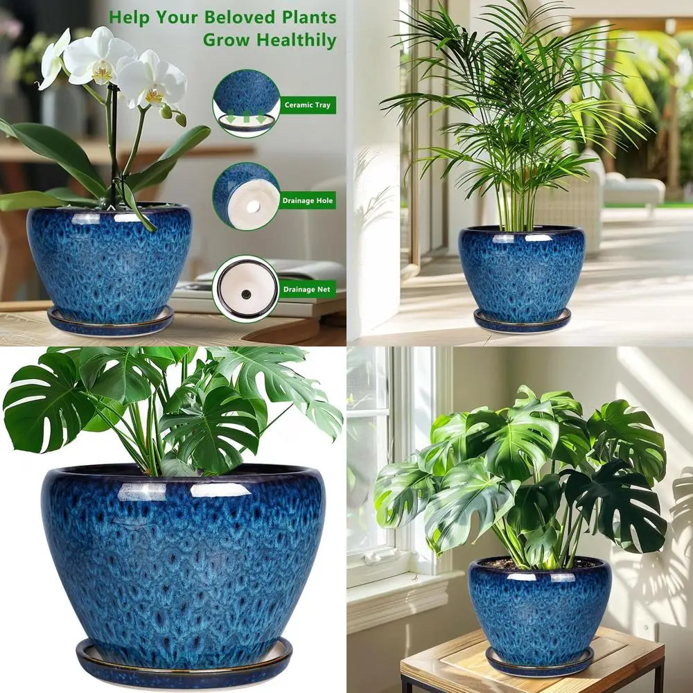 10 Inch Ceramic Plant Pot, Suitable for Indoor and Outdoor Plants, Large Bottom Pot with Drainage and Saucer, Blue
10 Inch Ceramic Plant Pot, Suitable for Indoor and Outdoor Plants, Large Bottom Pot with Drainage and Saucer, Blue