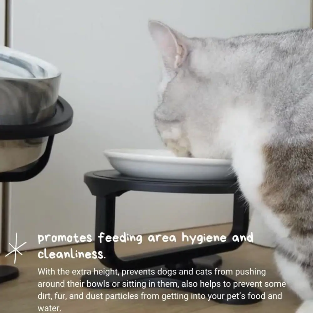 Adjustable Height Elevated Dog Bowl Non-slip 0 To 20 Degree Feeder Bowl Holder Stainless Steel Durable Neck Guard Cat Bowl Food
Adjustable Height Elevated Dog Bowl Non-slip 0 To 20 Degree Feeder Bowl Holder Stainless Steel Durable Neck Guard Cat Bowl Food