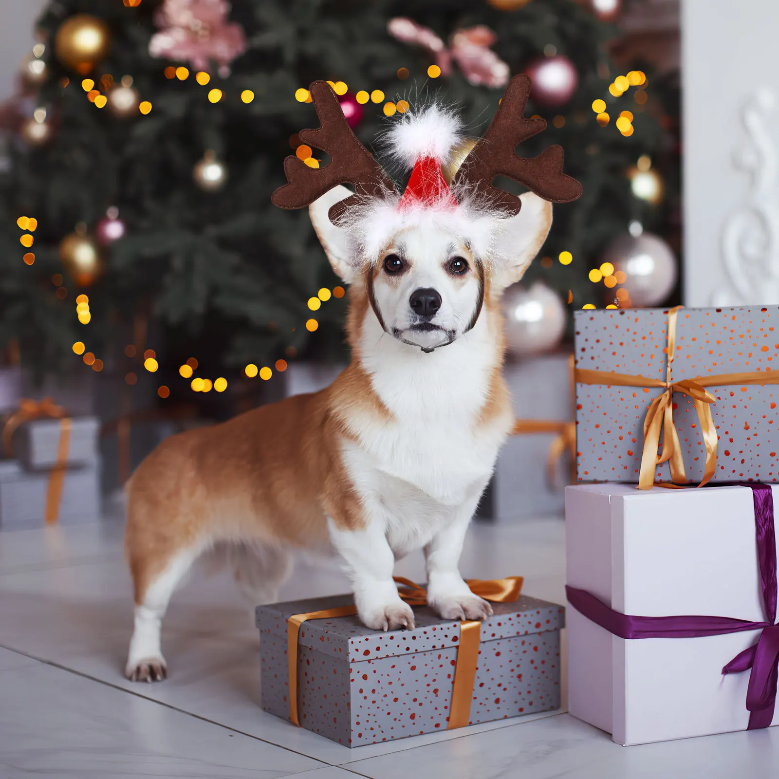 Cute Pet Christmas Headband with Elk Antlers and Santa Hat Easy-Fit Elastic Band for Small Medium Large Dogs Festive Party
Cute Pet Christmas Headband with Elk Antlers and Santa Hat Easy-Fit Elastic Band for Small Medium Large Dogs Festive Party