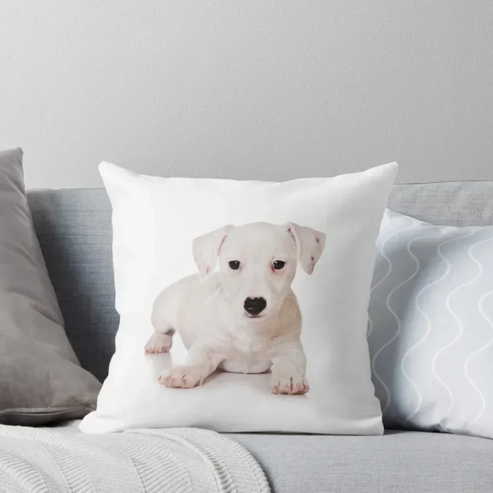 white Jack Russell Terrier puppy Throw Pillow pillowcases for sofa cushions Custom Cushion Photo pillow
white Jack Russell Terrier puppy Throw Pillow pillowcases for sofa cushions Custom Cushion Photo pillow