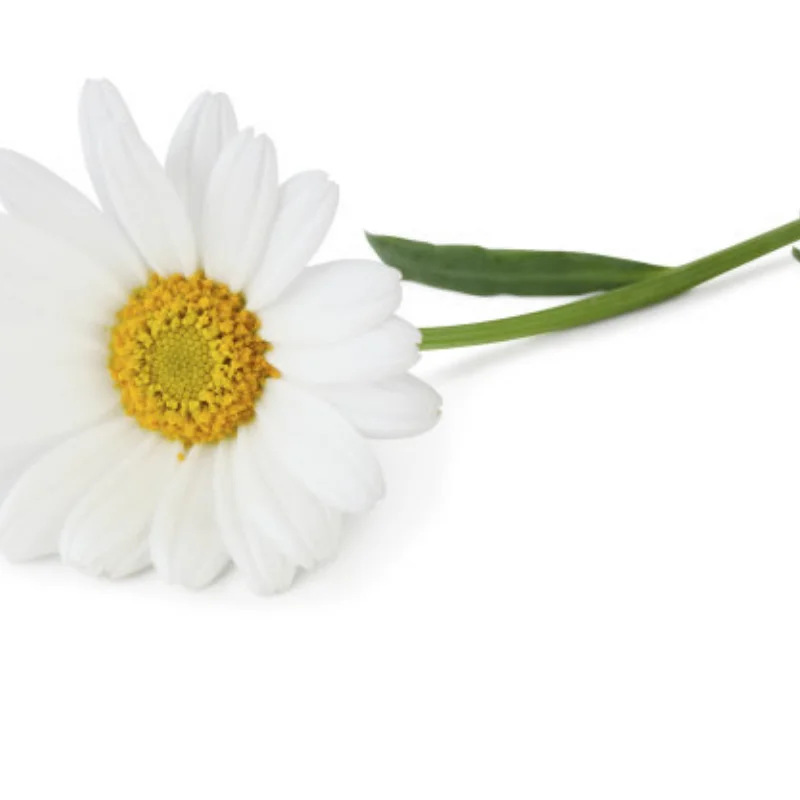 124008-2738 Детали для модификации сервопривода RC для Wltoys 124008, высокоскоростные гоночные автомобили, запасные части, заменяет аксессуары
124008-2738 Детали для модификации сервопривода RC для Wltoys 124008, высокоскоростные гоночные автомобили, запасные части, заменяет аксессуары