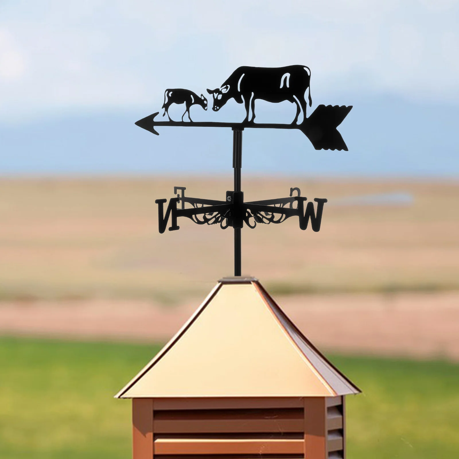 1 set Iron Weather Vane Metal Garden Stake Wind Direction Indicator For Yard Lawn Patio Decor Ground Insert Weathervane Ornament
1 set Iron Weather Vane Metal Garden Stake Wind Direction Indicator For Yard Lawn Patio Decor Ground Insert Weathervane Ornament