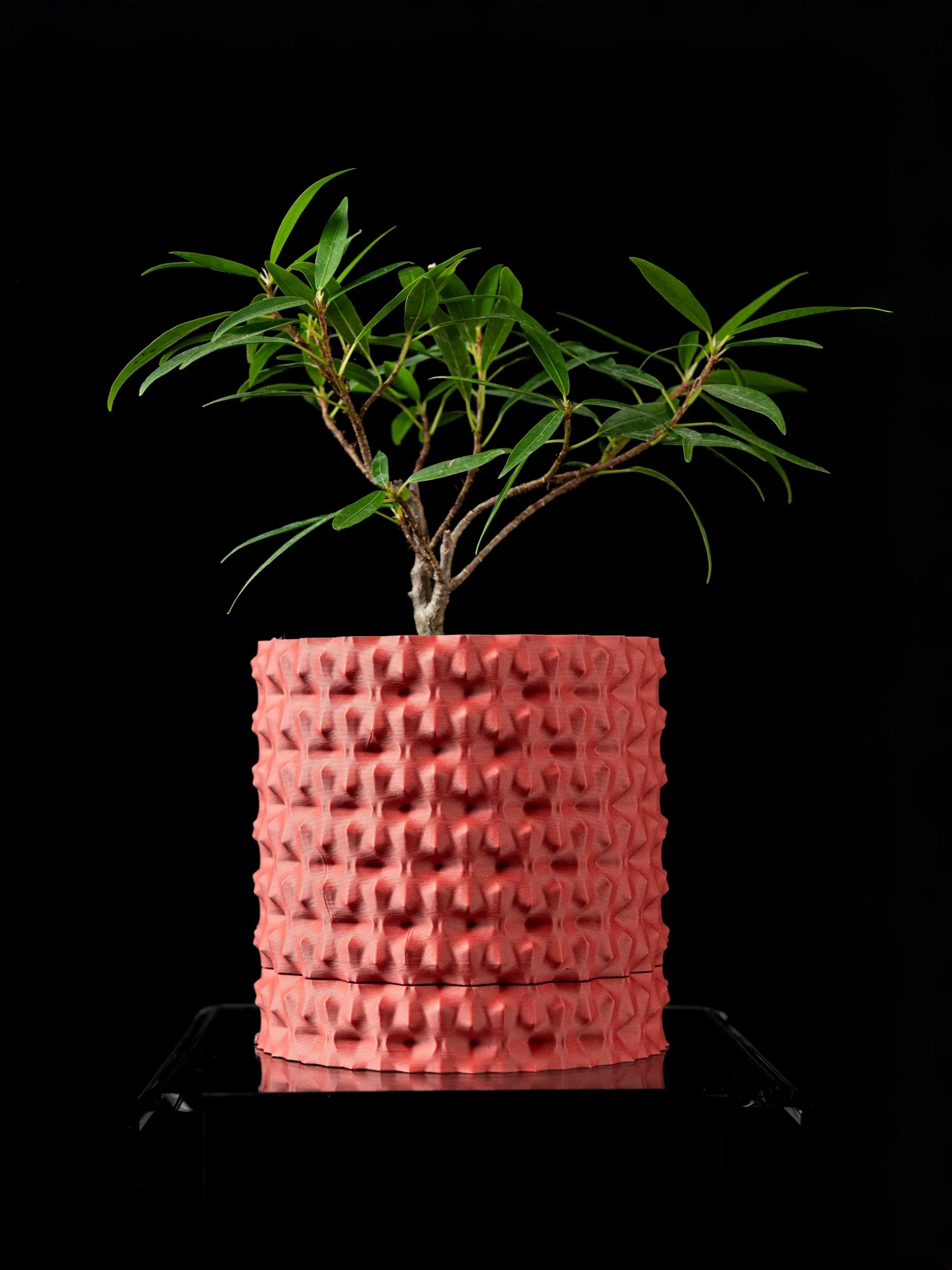 Современный минималистичный горшок для растений с 3D-печатью — биоразлагаемый цветочный горшок для домашнего декора, экологически чистый устойчивый подарок (объемный)
Современный минималистичный горшок для растений с 3D-печатью — биоразлагаемый цветочный горшок для домашнего декора, экологически чистый устойчивый подарок (объемный)