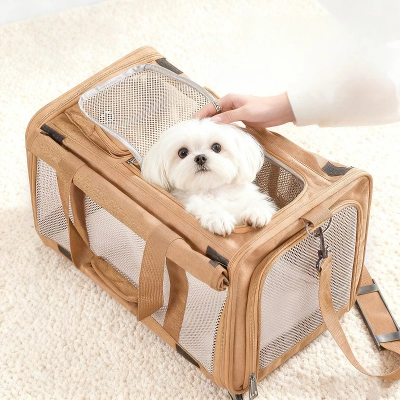 Сумка для собак, портативная сумка большой вместимости, маленькая сумка для переноски собак, сумка для кошек на плечо, дышащая водонепроницаемая переноска для собак, принадлежности
Сумка для собак, портативная сумка большой вместимости, маленькая сумка для переноски собак, сумка для кошек на плечо, дышащая водонепроницаемая переноска для собак, принадлежности