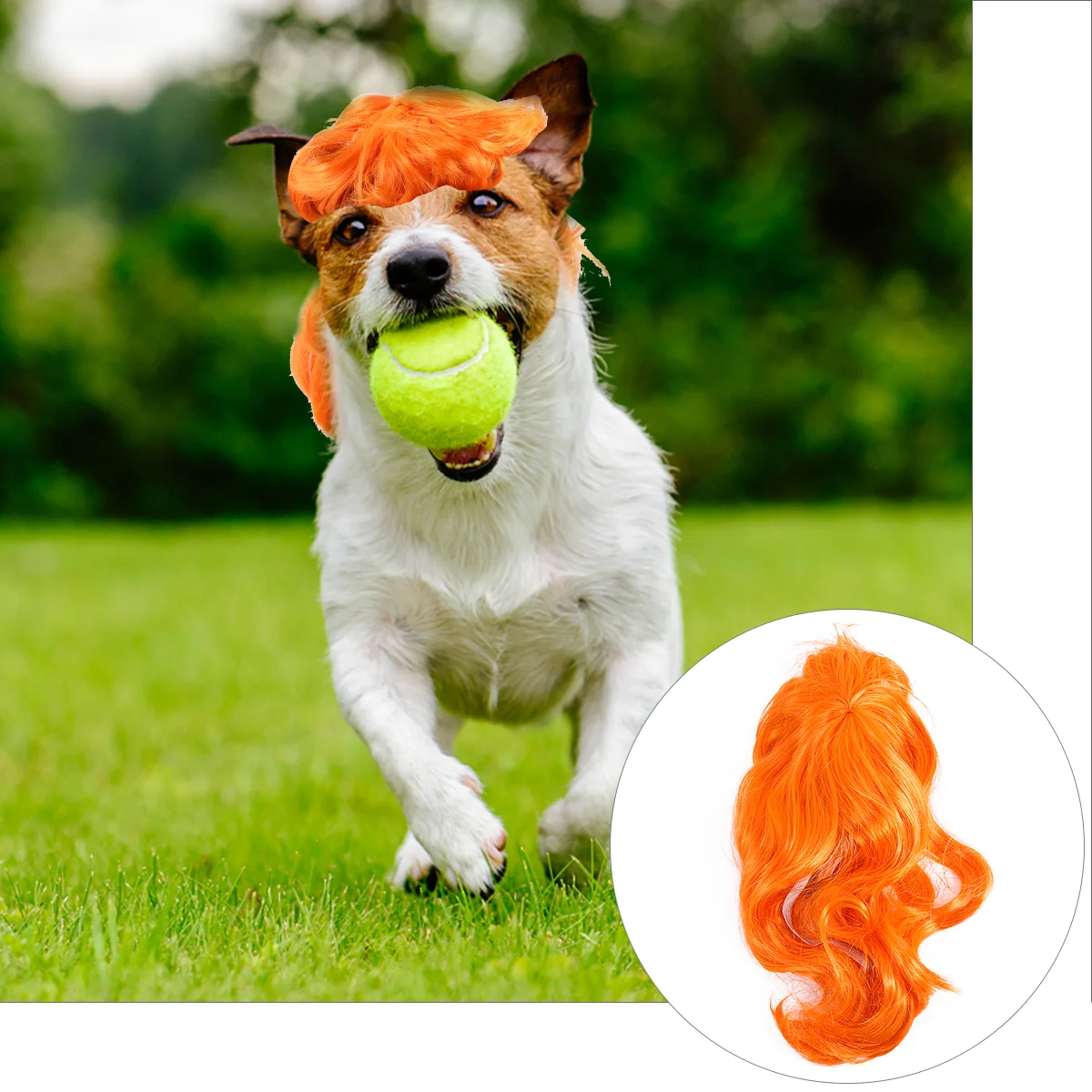 Pet Supplies Headgear Fake Hair Small Dog Decorative Supply Decoration Orange Funny Accessories
Pet Supplies Headgear Fake Hair Small Dog Decorative Supply Decoration Orange Funny Accessories