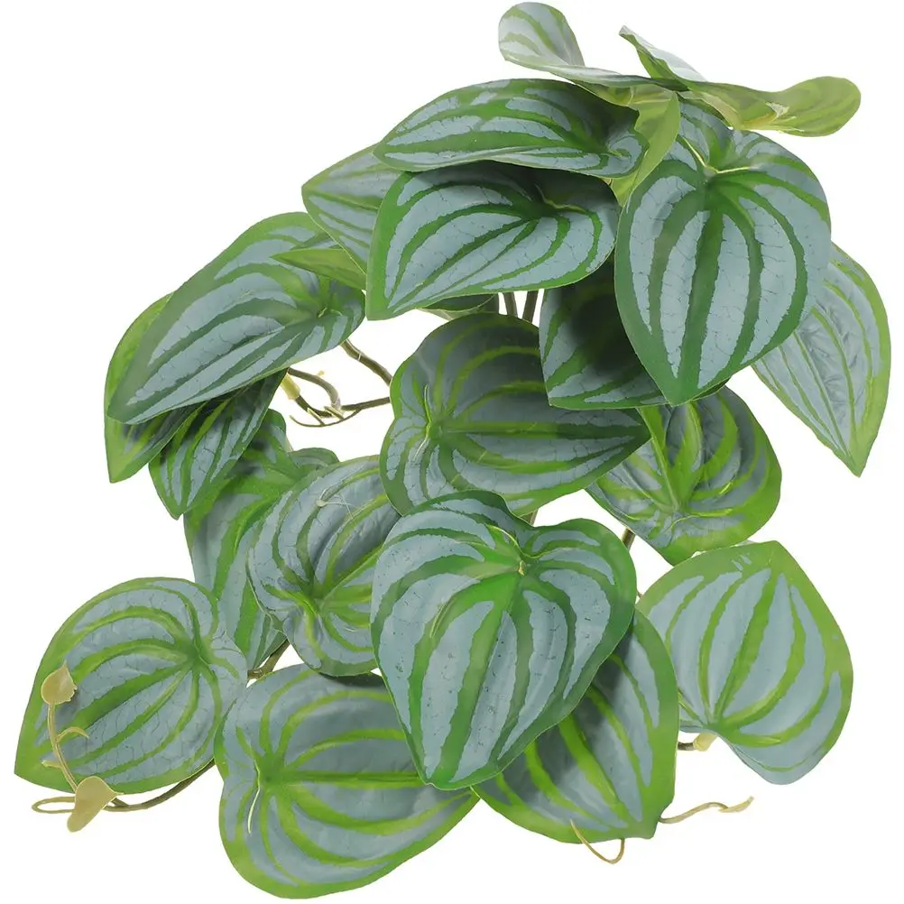 Leaf Artificial Hanging Plants Ornament Flat Terrarium Plastic Reptile Tank Background Faux Leaves
Leaf Artificial Hanging Plants Ornament Flat Terrarium Plastic Reptile Tank Background Faux Leaves