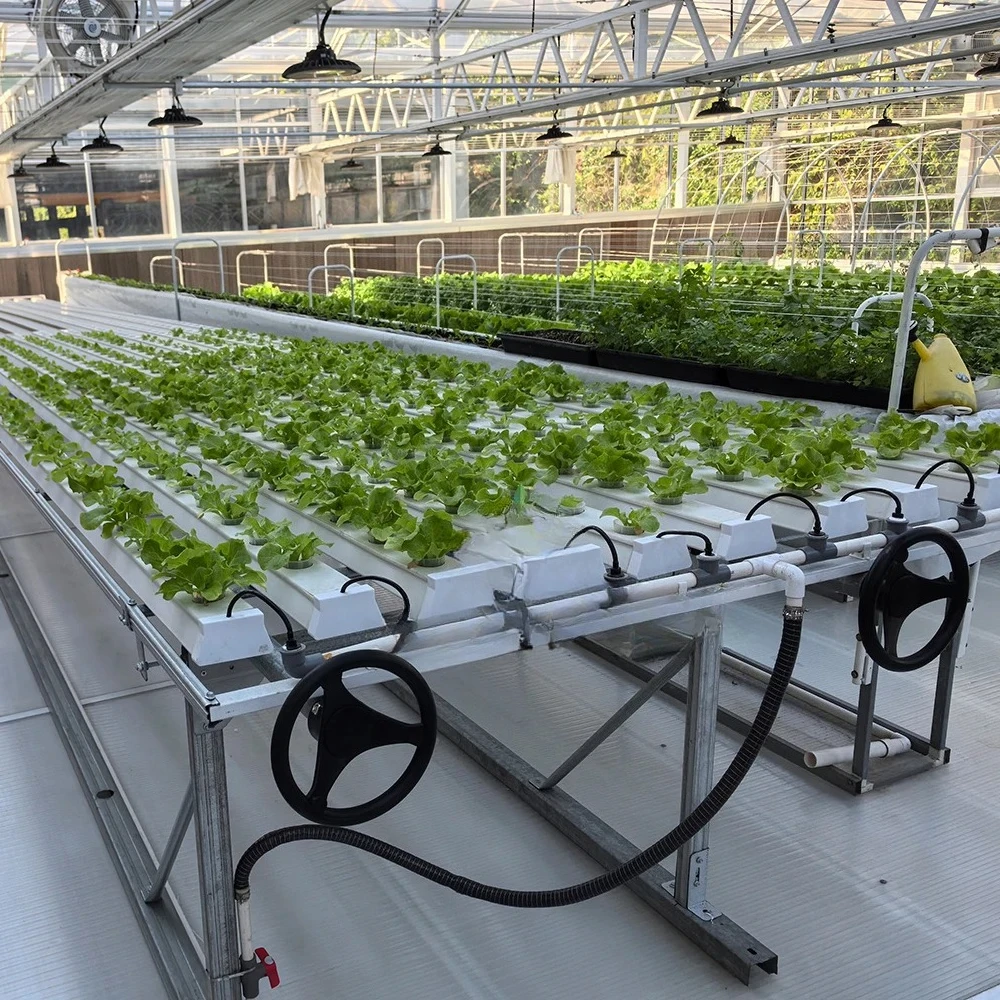 2025 PVC hydroponic pipeline for vegetable and flower cultivation Cultivated seedlings in square plastic tubes
2025 PVC hydroponic pipeline for vegetable and flower cultivation Cultivated seedlings in square plastic tubes