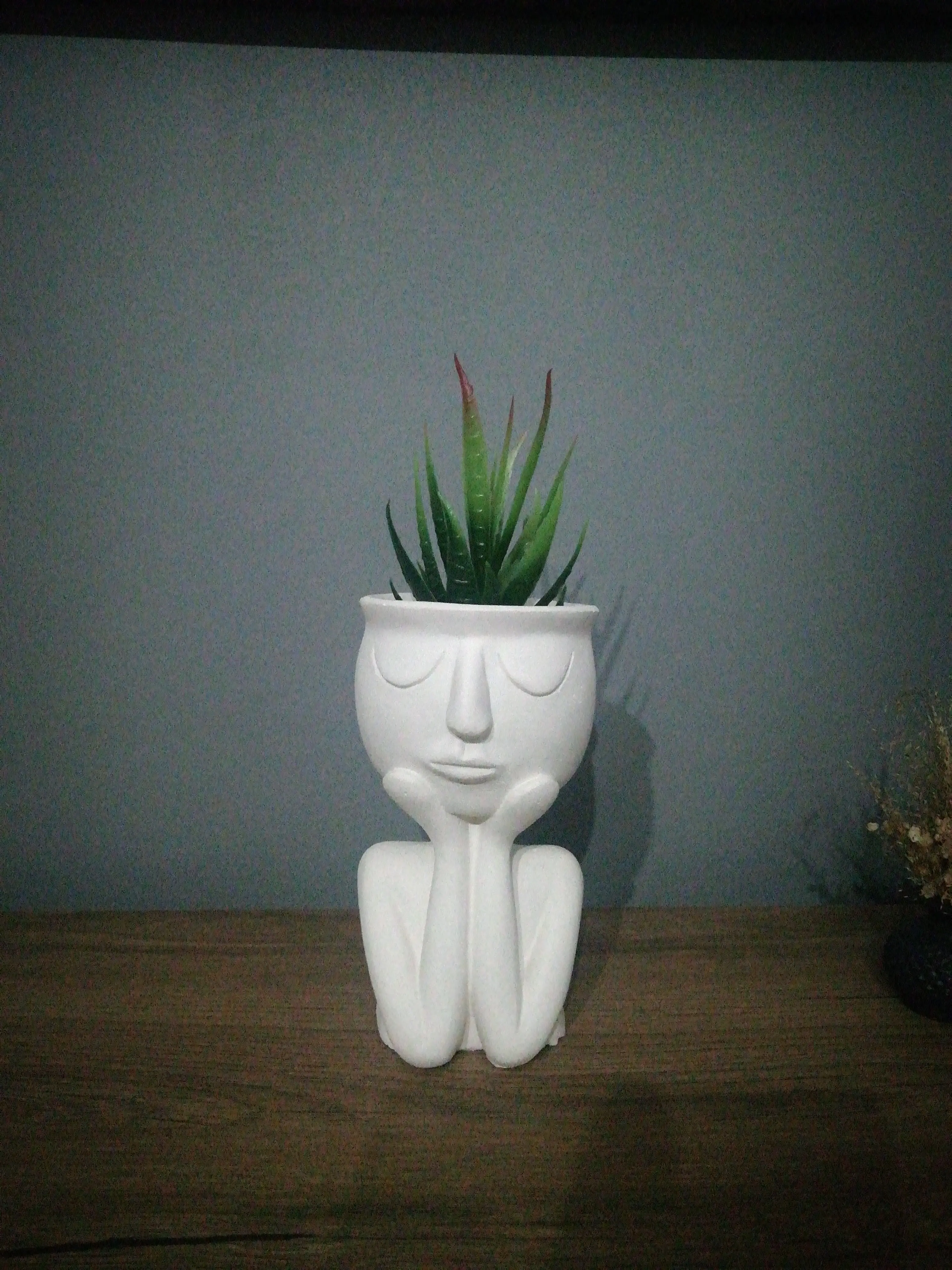 Home Decoration 3D Nordic Decor Resin Vase Decorative Head Carving Flower Vases Pen Holder Vase Flowers
Home Decoration 3D Nordic Decor Resin Vase Decorative Head Carving Flower Vases Pen Holder Vase Flowers
