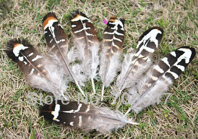 100Pcs/Lot 7-11cm Nature Brown&Yellow REEVES VENERY PHEASANT SMALL WINGS,QUILL FEATHERS For Jewelry Making
100Pcs/Lot 7-11cm Nature Brown&Yellow REEVES VENERY PHEASANT SMALL WINGS,QUILL FEATHERS For Jewelry Making