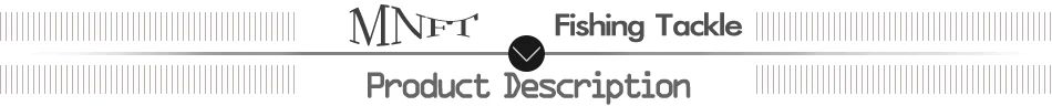 Cajas transparentes con inserto de espuma para accesorios de pesca con mosca