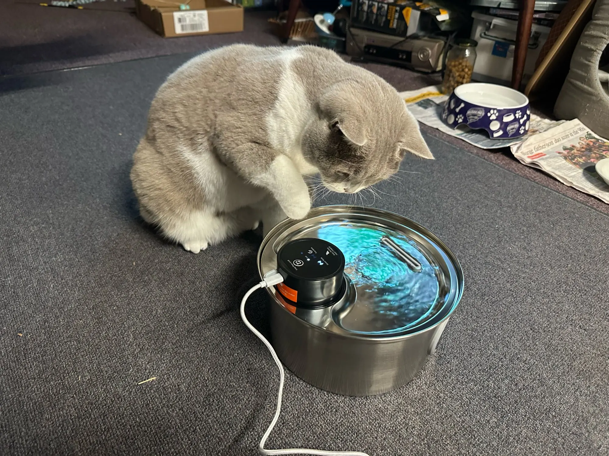 Customer review photo