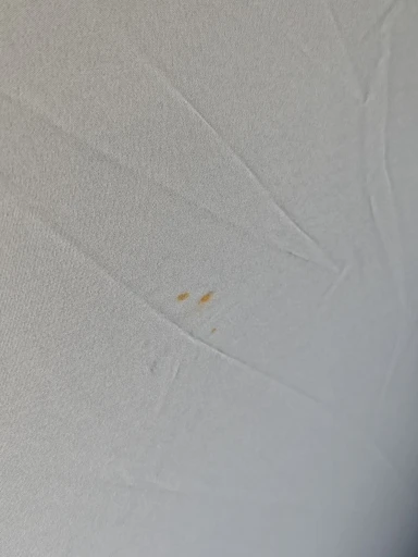 실물 포토 리뷰