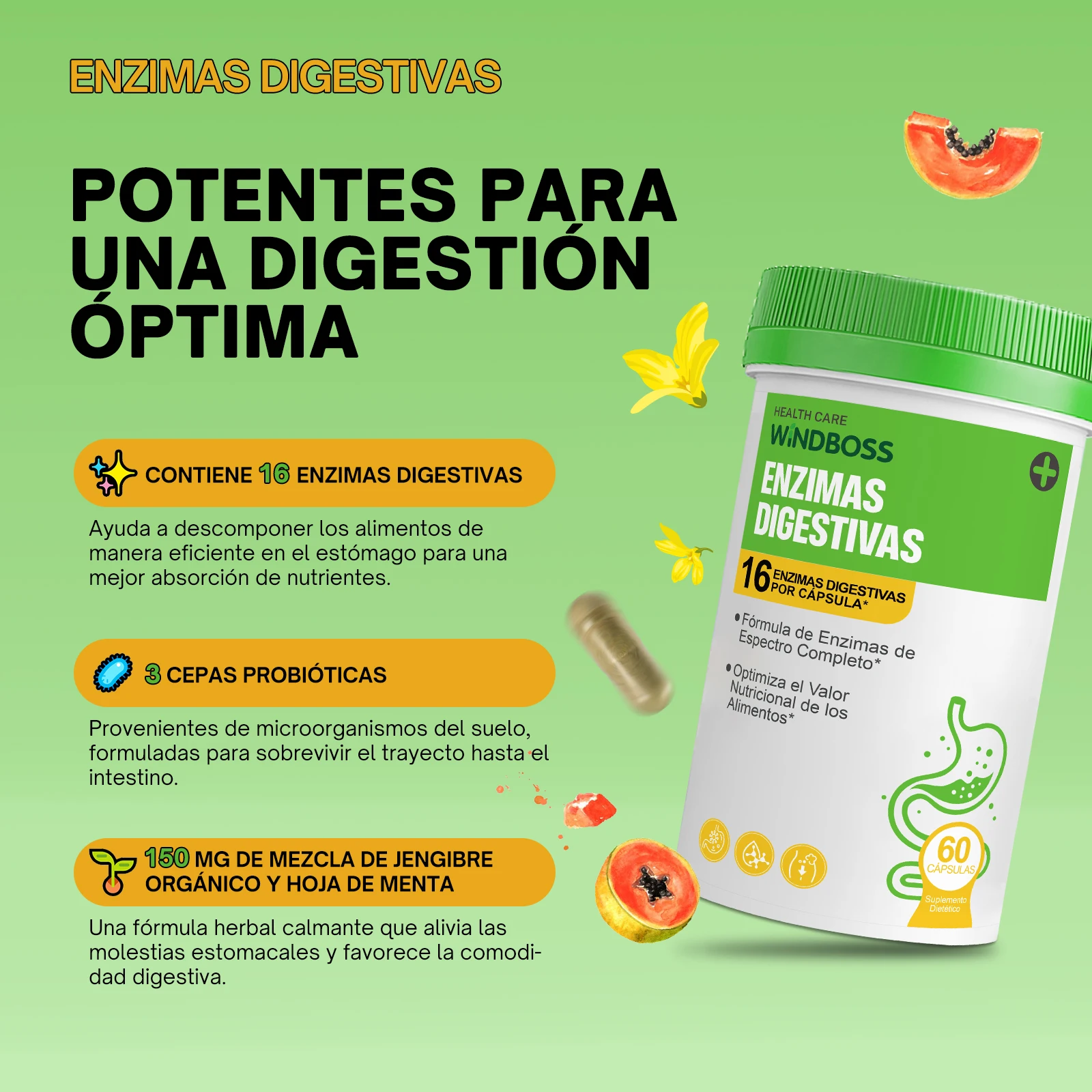 Windboss Fórmula Digestiva con Probióticos y Enzimas Naturales | Soporte Diario para el Bienestar Intestinal | Pack de 2 Frascos de 60 Cápsulas | Mezcla Prebiótica y Enzimas de Amplio Espectro - Image 3