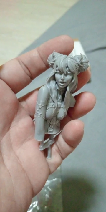 Buyer photo of this resin kit