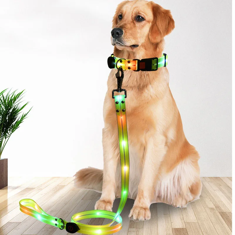 Led Dog Collar Led Light Usb Rechargeable Led Dog Leash Luxury Designer Led Luminous Dog Collar And Leash Set Led Glowing Safe