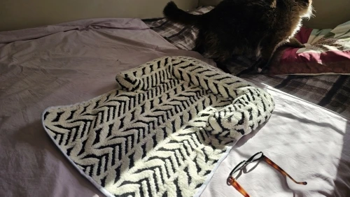 Tapis de canapé protecteur pour chien et chat avec rebords – Coussin moelleux et antidérapant