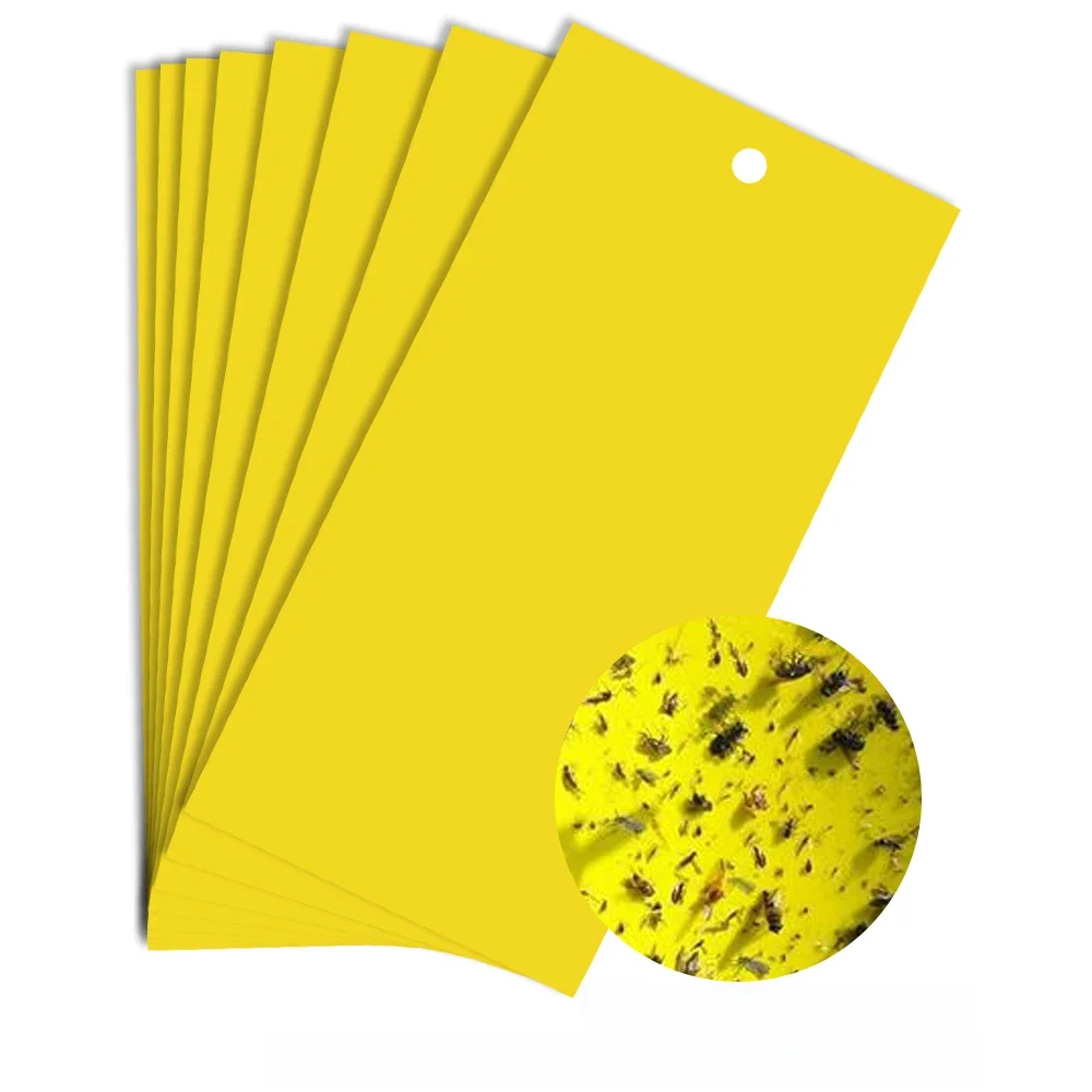 30/50 pçs amarelo dupla face voando inseto captura adesivo de controle insetos cola placa pegajosa