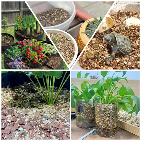 18QT vermikulit för trädgårdsbruk, grov vermikulitkvalitet för krukväxter och trädgårdsskötsel 10 best sales bonsai-frö - №4