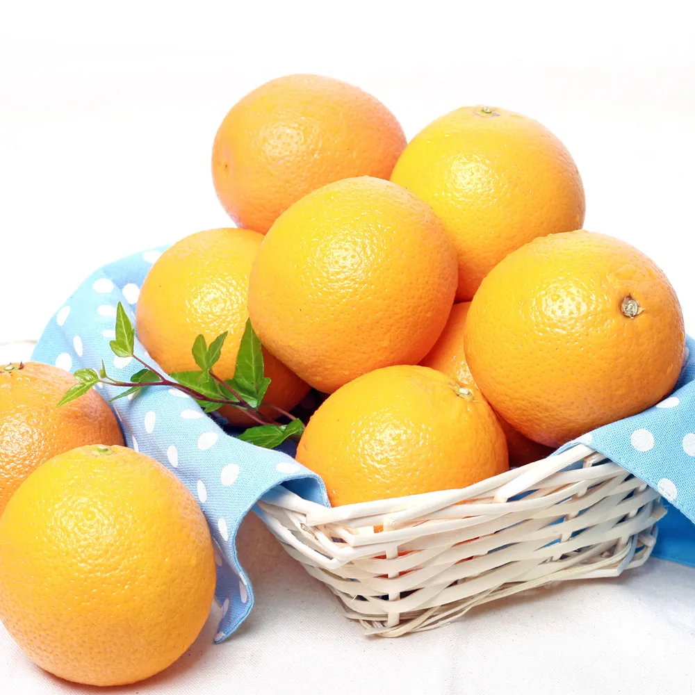 العلامة السوداء عالية السكر البرتقالي شحن مجاني #4