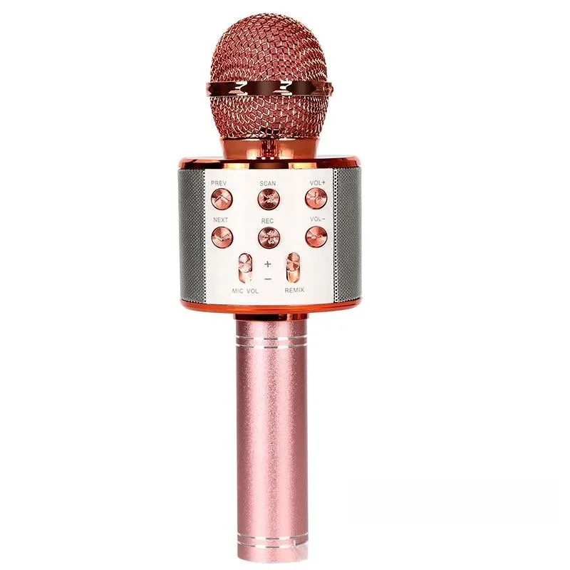 Draadloze Bluetooth Karaoke Microfoon, Karaoke Mic Speaker Met Verstelbare Remix Fm Radio Voor Kinderen Meisjes Jongens Tieners Verjaardag