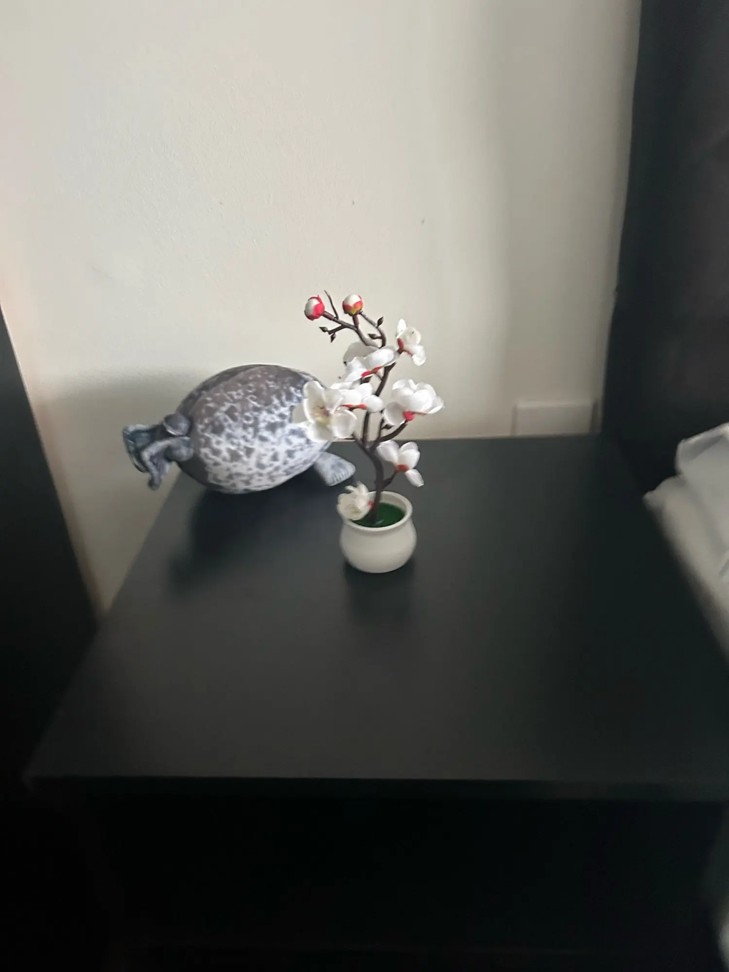 Review picture