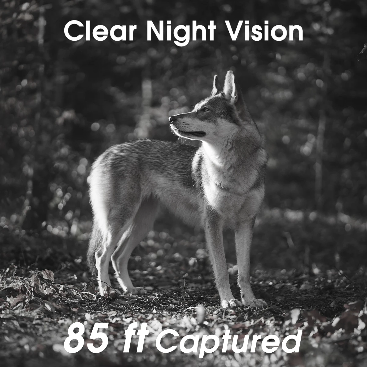 Outdoor WiFi Trail Camera 4K 48MP Game Camera Night Vision Motion Activated Waterproof IP67 Hunting Wildlife Camera