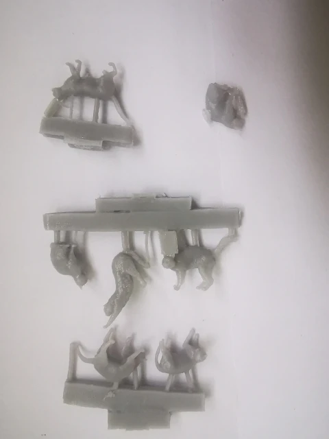Buyer photo of this resin kit
