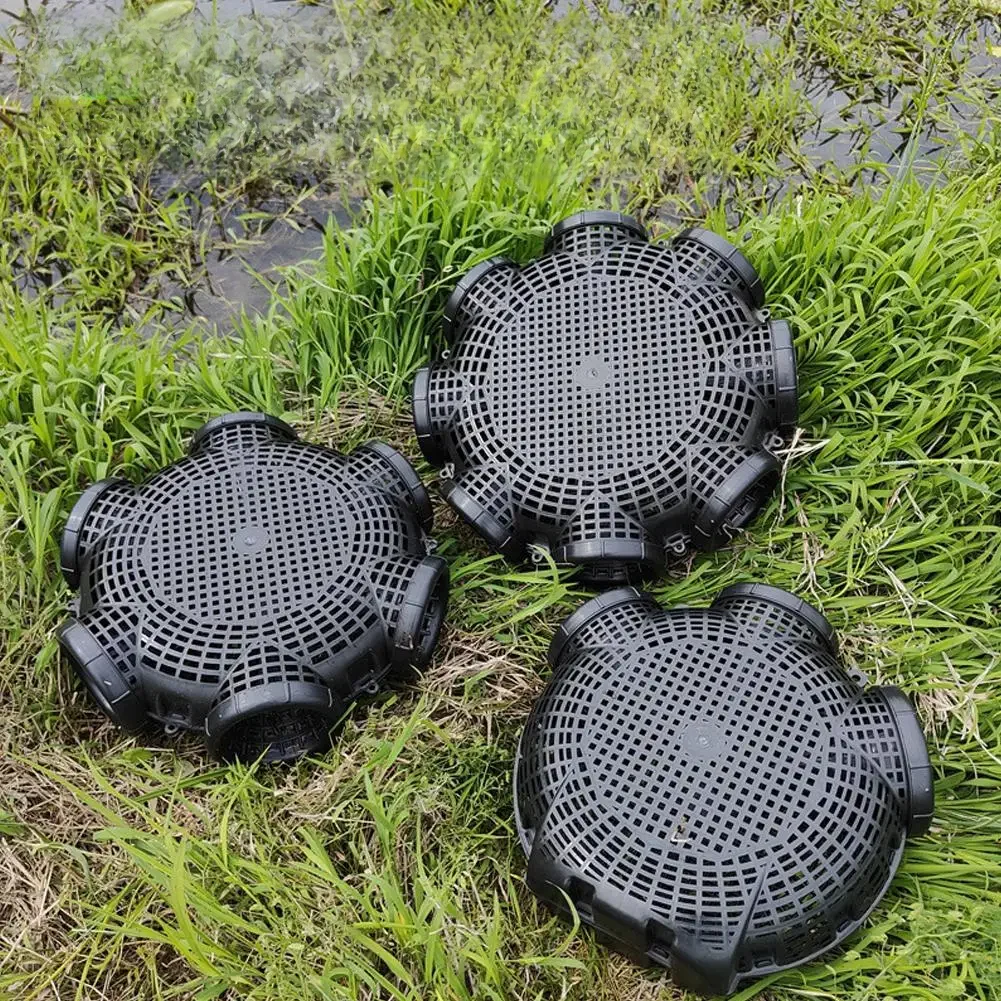 Piège à écrevisses en plastique facile à installer, 3/6/8 trous, pour pêche en plein air