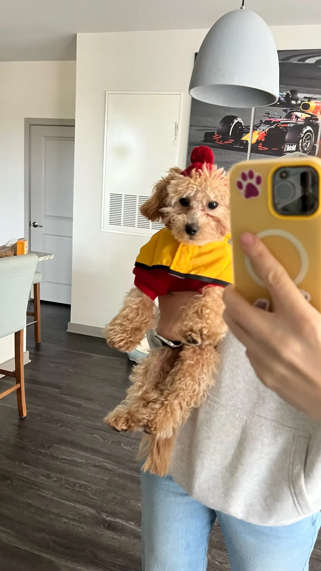 Customer review photo for Waterproof Dog Raincoat — Adjustable, Windproof & Hooded