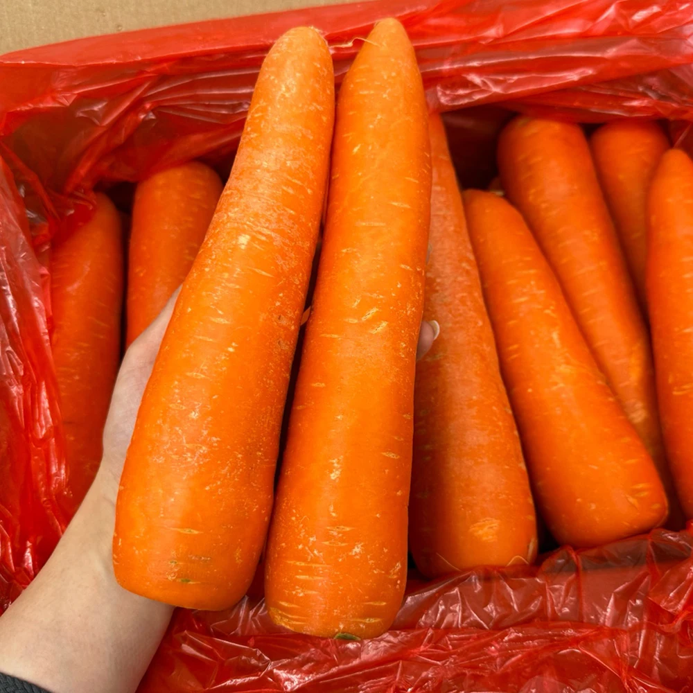 5kg / 10kg Gin Flavor Best Import Washing Carrot