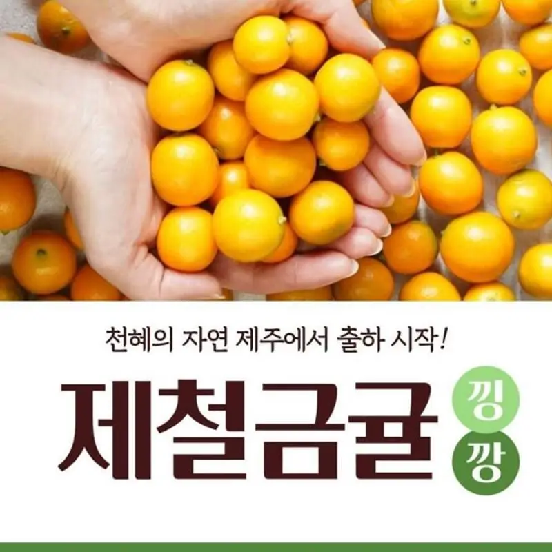 ○ Jeju's sweet and sour kumquat