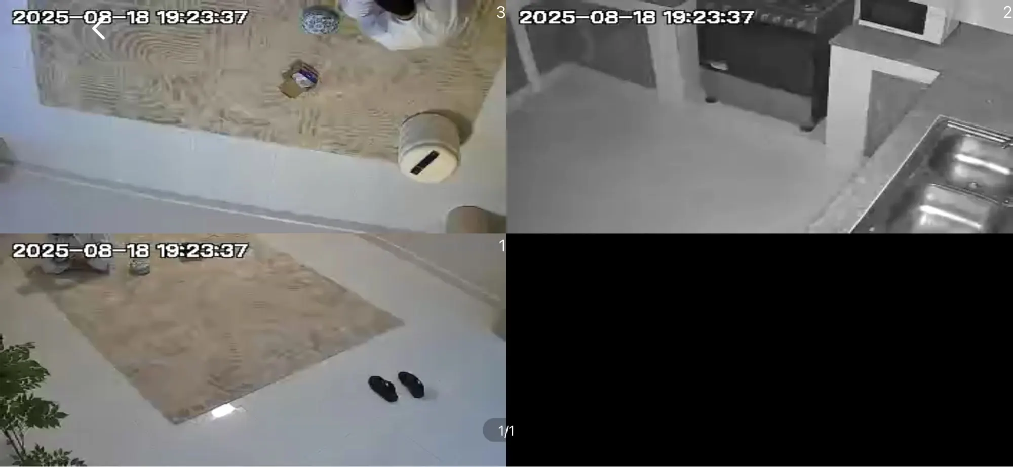 실물 포토 리뷰