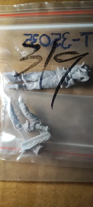 Buyer photo of this resin kit
