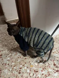 Imagen de reseña 1