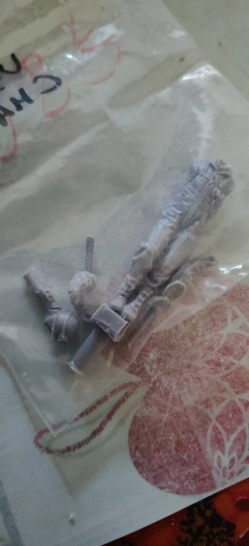 Buyer photo of this resin kit