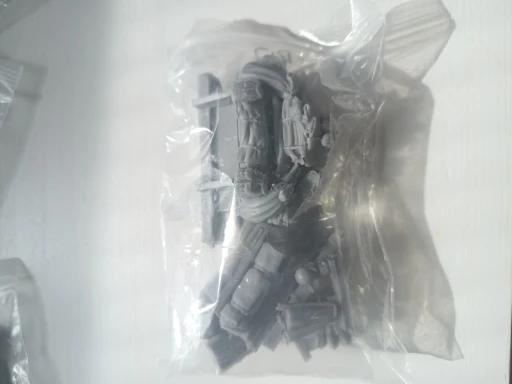 Buyer photo of this resin kit
