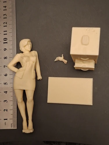 Buyer photo of this resin kit