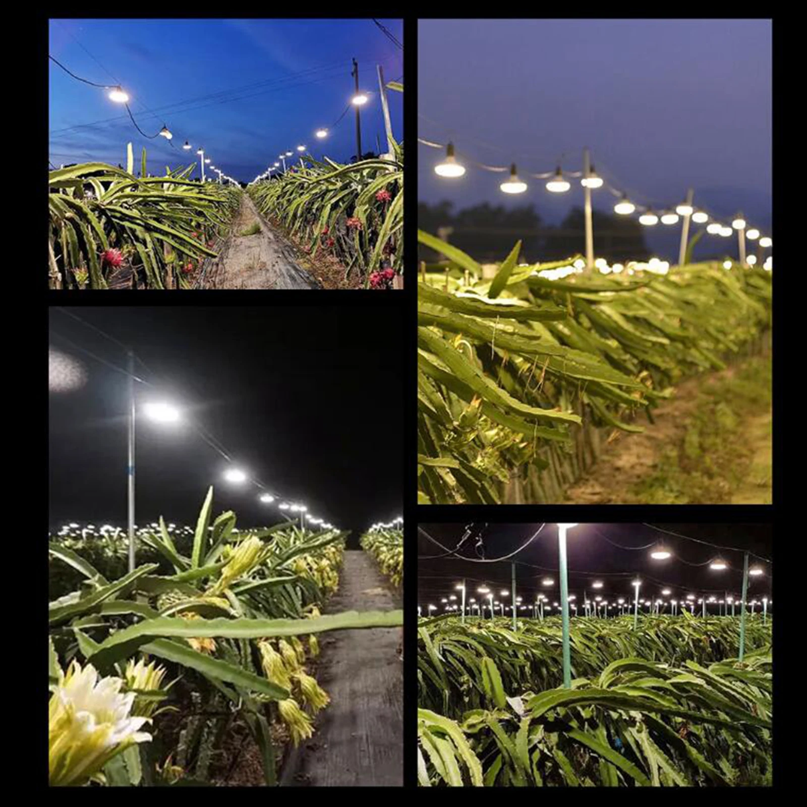 تنمو ضوء E27 المقبس 18 واط مقاوم للماء 4000 كيلو النباتات ضوء الطيف تنمو الخيام ملحق لخضروات فاكهة التنين الدفيئة