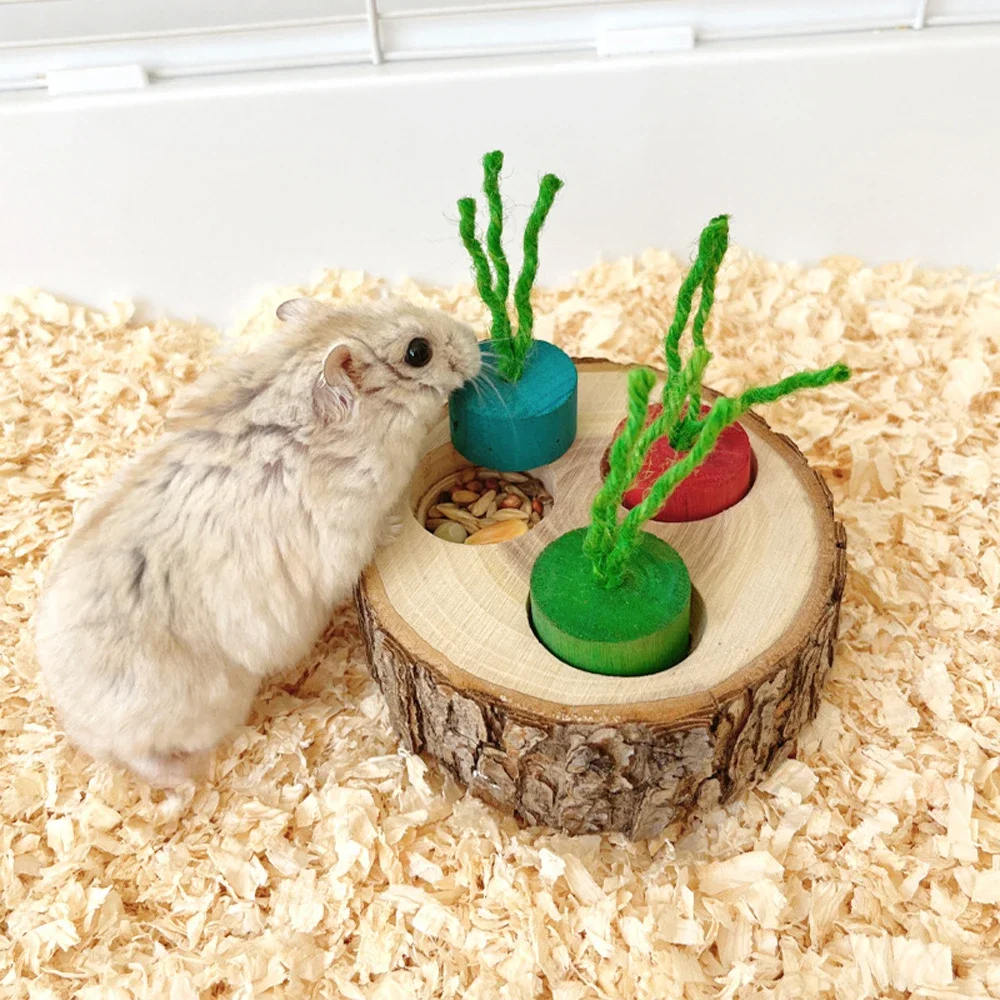 Jouet à mâcher rond en bois pour perroquet, fournitures éducatives pour petits oiseaux de compagnie, perroquet, Hamster, lapin, jouets à mâcher, jouets de recherche de nourriture