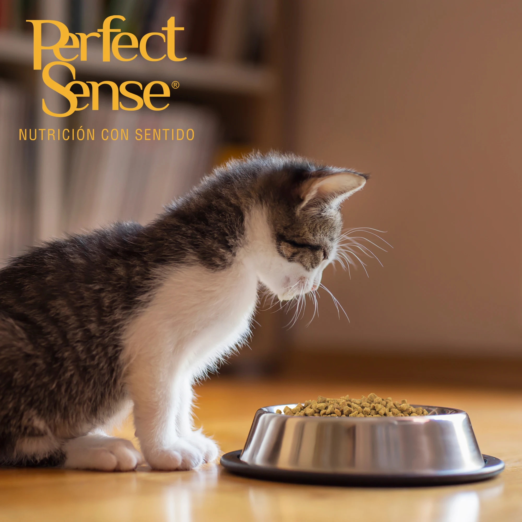 بيرفكت سينس: كروكيت طعام جاف ممتاز للقطط 1.5 كجم #5