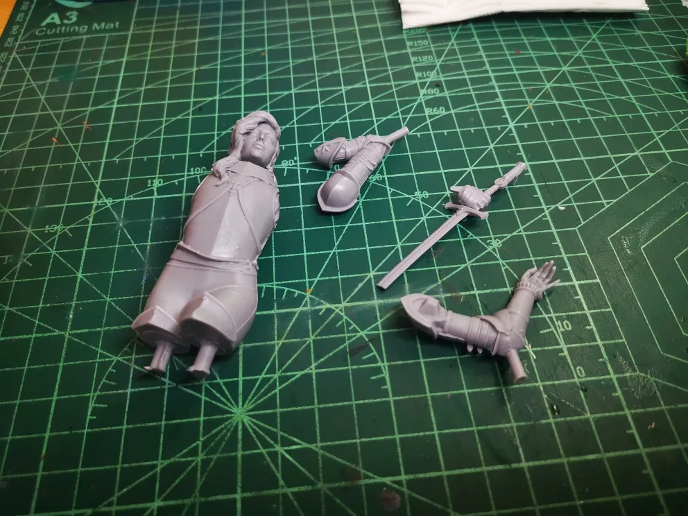 Buyer photo of this resin kit