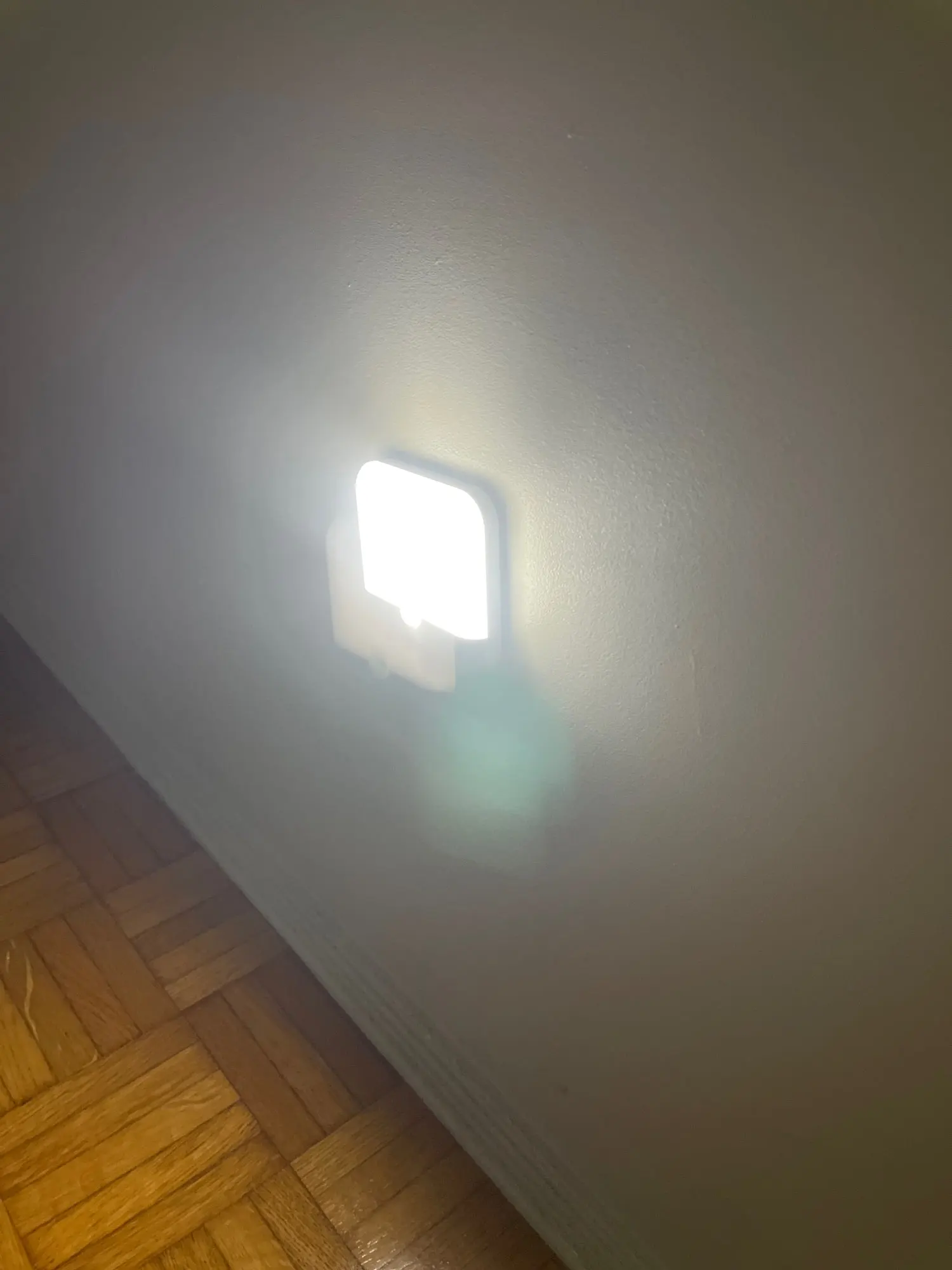 Review photo