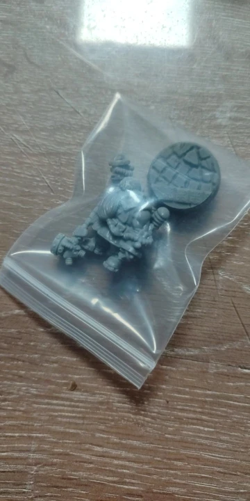 Buyer photo of this resin kit